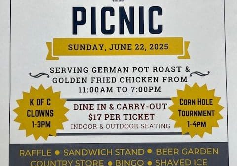 Picnic Flyer Picnic Flyer